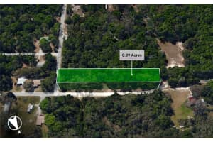 1958 TIA POINT, HOMOSASSA, FL 34448 - MLS#MFROM703991