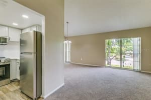 411 DANUBE AVENUE, TAMPA, FL 33606 - MLS#MFROM703994