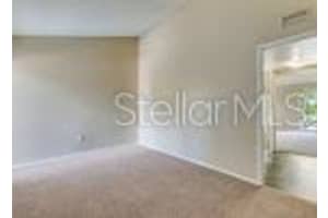 411 DANUBE AVENUE, TAMPA, FL 33606 - MLS#MFROM703999