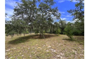 23161 NE 155TH CT, FORT MC COY, FL 32134 Sold 07/31/25