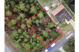 0 HEMLOCK TRAIL, OCALA, FL 34472 Sold 09/19/25