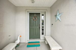 11728 91ST CIRCLE, SUMMERFIELD, FL 34491 - MLS#MFROM704089