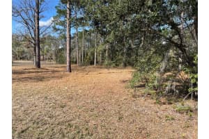 LOT 40 MARINE BOULEVARD, DUNNELLON, FL 34431 Sold 08/12/25