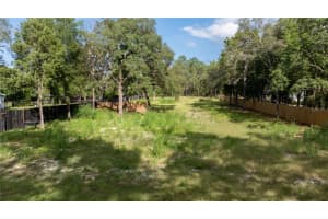 SW 175TH CT, DUNNELLON, FL 34432 - MLS#MFROM704114