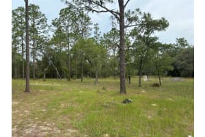2060 MARY LUE STREET, INVERNESS, FL 34453 - MLS#MFROM704121