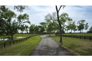 13381 W HWY 40 (LOT 7), OCALA, FL 34481 - MLS#MFROM704155