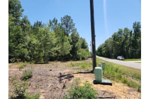 Lot 1 PINE BLUFFS ROAD, DUNNELLON, FL 34431 - MLS#MFROM704177
