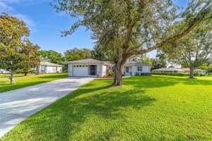 6113 101ST PLACE, OCALA, FL 34476 - MLS#MFROM704293