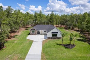 4091 PINTO LOOP, BEVERLY HILLS, FL 34465 - MLS#MFROM704310