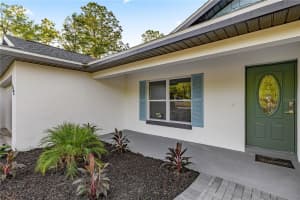 158 GUAVA PASS, OCKLAWAHA, FL 32179 Sold 10/09/25