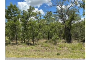 13022 JAYWALK ROAD, WEEKI WACHEE, FL 34614 - MLS#MFROM704398