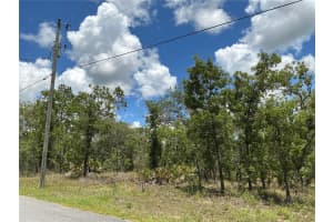 13022 JAYWALK ROAD, WEEKI WACHEE, FL 34614 - MLS#MFROM704398
