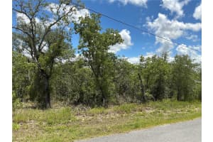 13022 JAYWALK ROAD, WEEKI WACHEE, FL 34614 - MLS#MFROM704398