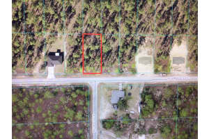 0 AMBERJACK AVENUE, DUNNELLON, FL 34431 - MLS#MFROM704405
