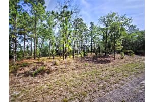 6745 DARLINGTON DRIVE, DUNNELLON, FL 34434 - MLS#MFROM704442