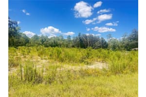 TBD 91 LANE, DUNNELLON, FL 34432 - MLS#MFROM704460