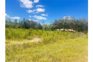 TBD 91 LANE, DUNNELLON, FL 34432 - MLS#MFROM704460