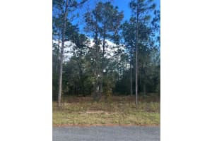 TBD LOCUST LOOP PLACE LOT 7, OCALA, FL 34472 - MLS#MFROM704479