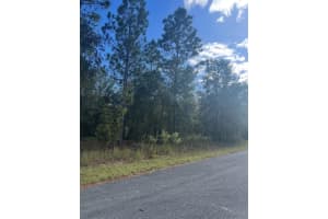 TBD LOCUST LOOP PLACE LOT 8, OCALA, FL 34472 - MLS#MFROM704480