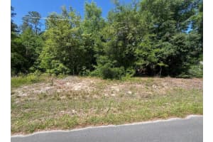 TBD LOCUST COURSE RADIAL LOT 20, OCALA, FL 34472 - MLS#MFROM704481