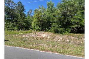 TBD LOCUST COURSE RADIAL LOT 20, OCALA, FL 34472 - MLS#MFROM704481