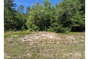 TBD LOCUST COURSE RADIAL LOT 20, OCALA, FL 34472 - MLS#MFROM704481