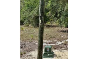 00 SOUTH HAVEN STREET, DUNNELLON, FL 34431 - MLS#MFROM704507