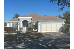 12855 Se 92nd Court Rd, SUMMERFIELD