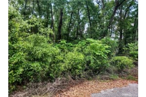 TBD 155TH COURT, WILLISTON, FL 32696 - MLS#MFROM704528