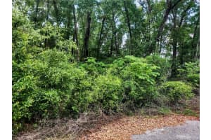 TBD 6TH CIRCLE, WILLISTON, FL 32696 - MLS#MFROM704532