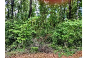 TBD 6TH CIRCLE, WILLISTON, FL 32696 - MLS#MFROM704532