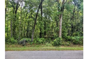 TBD 6TH CIRCLE, WILLISTON, FL 32696 - MLS#MFROM704532