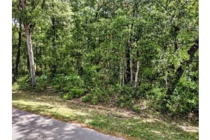 TBD 6TH CIRCLE, WILLISTON, FL 32696 - MLS#MFROM704532