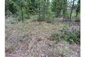 TBD 141ST TERRACE, OCALA, FL 34481 Sold 08/15/25