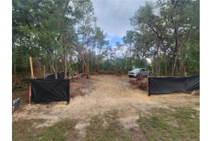 3919 ORCHID STREET, HERNANDO, FL 34442 - MLS#MFROM704599