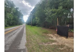 3919 ORCHID STREET, HERNANDO, FL 34442 - MLS#MFROM704599