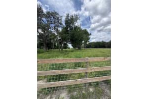 8640 73RD AVENUE, OCALA, FL 34476 - MLS#MFROM704604