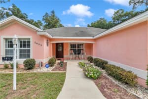 3453 147TH LANE, SUMMERFIELD, FL 34491 - MLS#MFROM704617