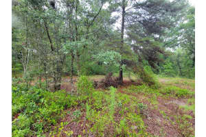 0 DRIFTWOOD COURT, DUNNELLON, FL 34431 - MLS#MFROM704647