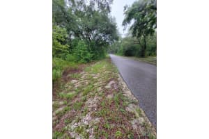 0 DRIFTWOOD COURT, DUNNELLON, FL 34431 - MLS#MFROM704647