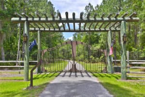 15305 NW HWY 320, MICANOPY, FL 32667 - MLS#MFROM704652