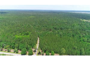 15305 NW HWY 320, MICANOPY, FL 32667 - MLS#MFROM704652