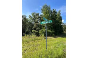 1425 MOSSWOOD LANE, CITRUS SPRINGS, FL 34434 Sold 10/15/25