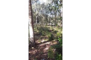 22733 114TH AVENUE, FORT MC COY, FL 32134 Sold 08/22/25