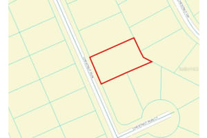 0 CHESTNUT RUN, OCALA, FL 34480 Sold 07/31/25