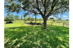 9825 125TH LANE, SUMMERFIELD, FL 34491 - MLS#MFROM704713