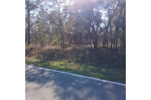 TBD RIDGEWOOD ROAD, DUNNELLON, FL 34431 - MLS#MFROM704714