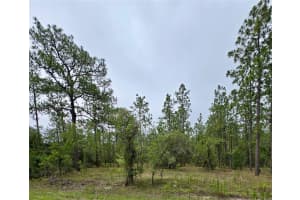 0 NW WATER OAK AVE, DUNNELLON, FL 34431 - MLS#MFROM704716