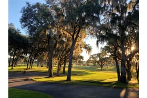 5540 SE 157TH STREET ROAD, SUMMERFIELD, FL 34491 - MLS#MFROM704718