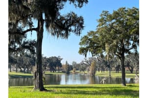 5540 SE 157TH STREET ROAD, SUMMERFIELD, FL 34491 - MLS#MFROM704718